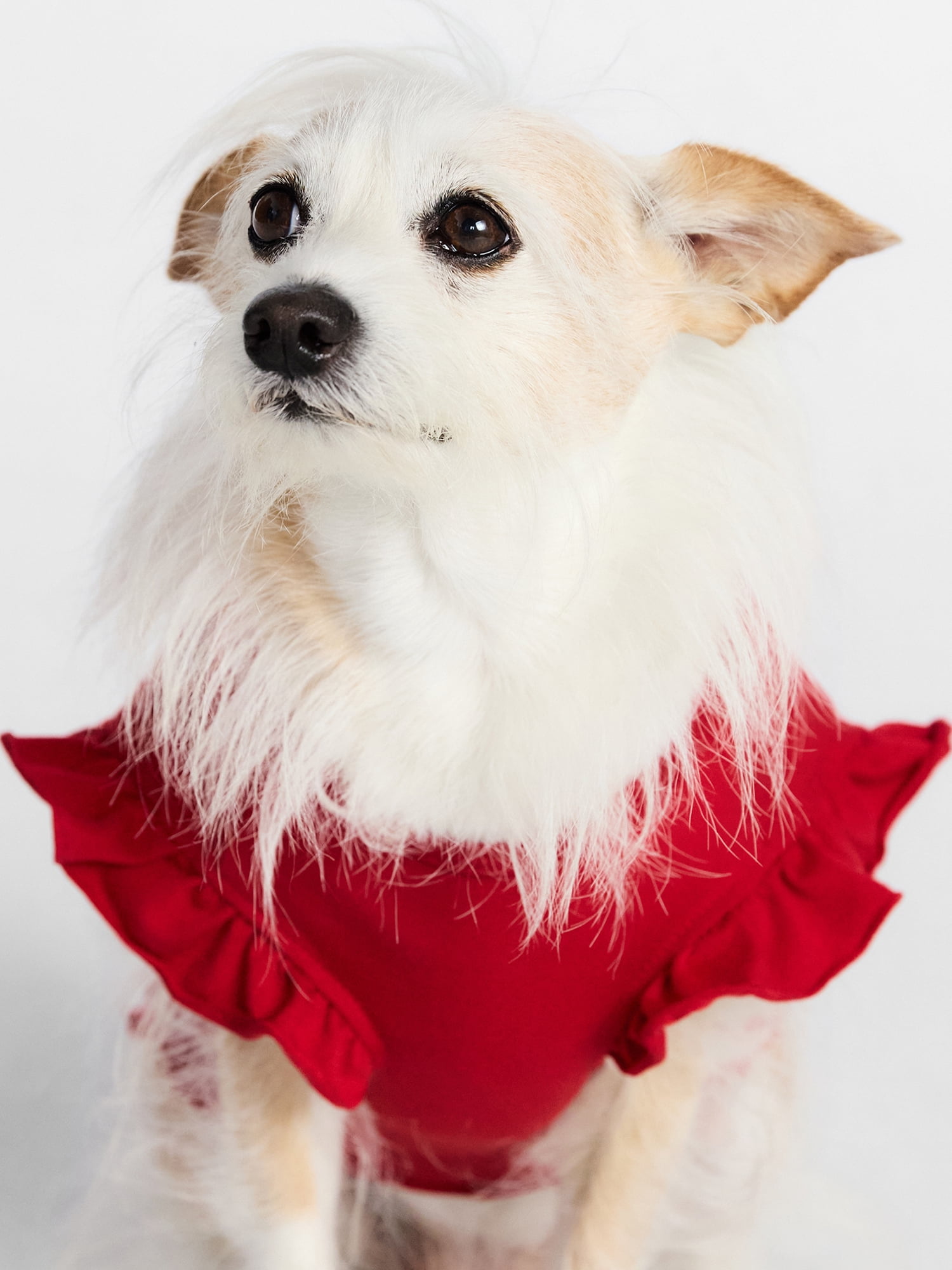 Kacey Lee Darlin' Ruffled Edge Pet Tee Shirt for Cats and Dogs, Red, Large