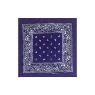 Paisley Navy Bandana