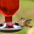 thumbnail image 7 of Perky-Pet 16 oz Red Antique Bottle Hummingbird Feeder, 7 of 7