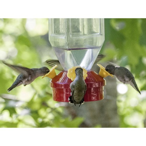 Perky-Pet Red Plastic Lantern Hummingbird Feeder - 18 oz Capacity - image 5 of 5