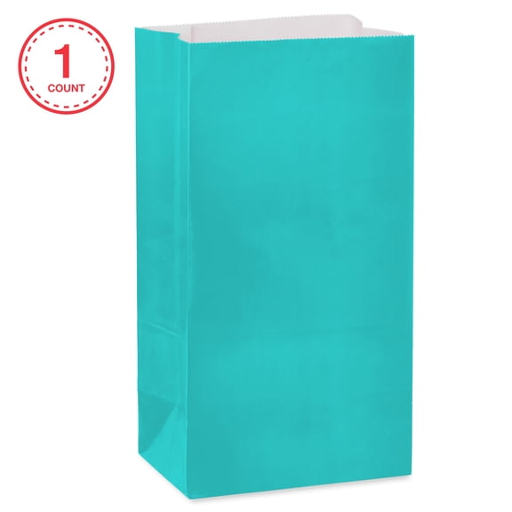 American Greetings 10 in. Aqua Goodie Bag (1-Count)