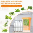 thumbnail image 6 of 1 Pcs Orange Divider Herb Keeper,Clear Fresh Vegetables Saver,Plastic Cilantro Storage Container,Multipurpose Cilantro Saver,Asparagus Organizer,for Kitchen Refrigerator By GIXUSIL, 6 of 7