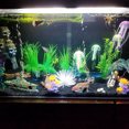 thumbnail image 4 of Maytalsory Lampe Barre pour sous-Vêtements d'Aquarium à Intensité Réglable, Lumière RVB Étanche, Télécommande, 4 of 6