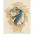 thumbnail image 2 of Loreth, Lanie 15x18 White Modern Wood Framed Museum Art Print Titled - Conch Shell, 2 of 4