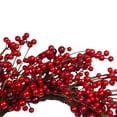 thumbnail image 4 of Northlight Artificial Berry Christmas Twig Wreath - 20" - Unlit, 4 of 6