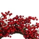 Northlight Couronne de Brindille de Noël Artificielle Red Berry - 20 Pouces, Non Éclairée – image 4 sur 4