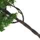 thumbnail image 2 of Modelo De Olmo Árbol 4,72 Inch Paisaje Scenery Landscape Model Elm Tree, 2 of 9