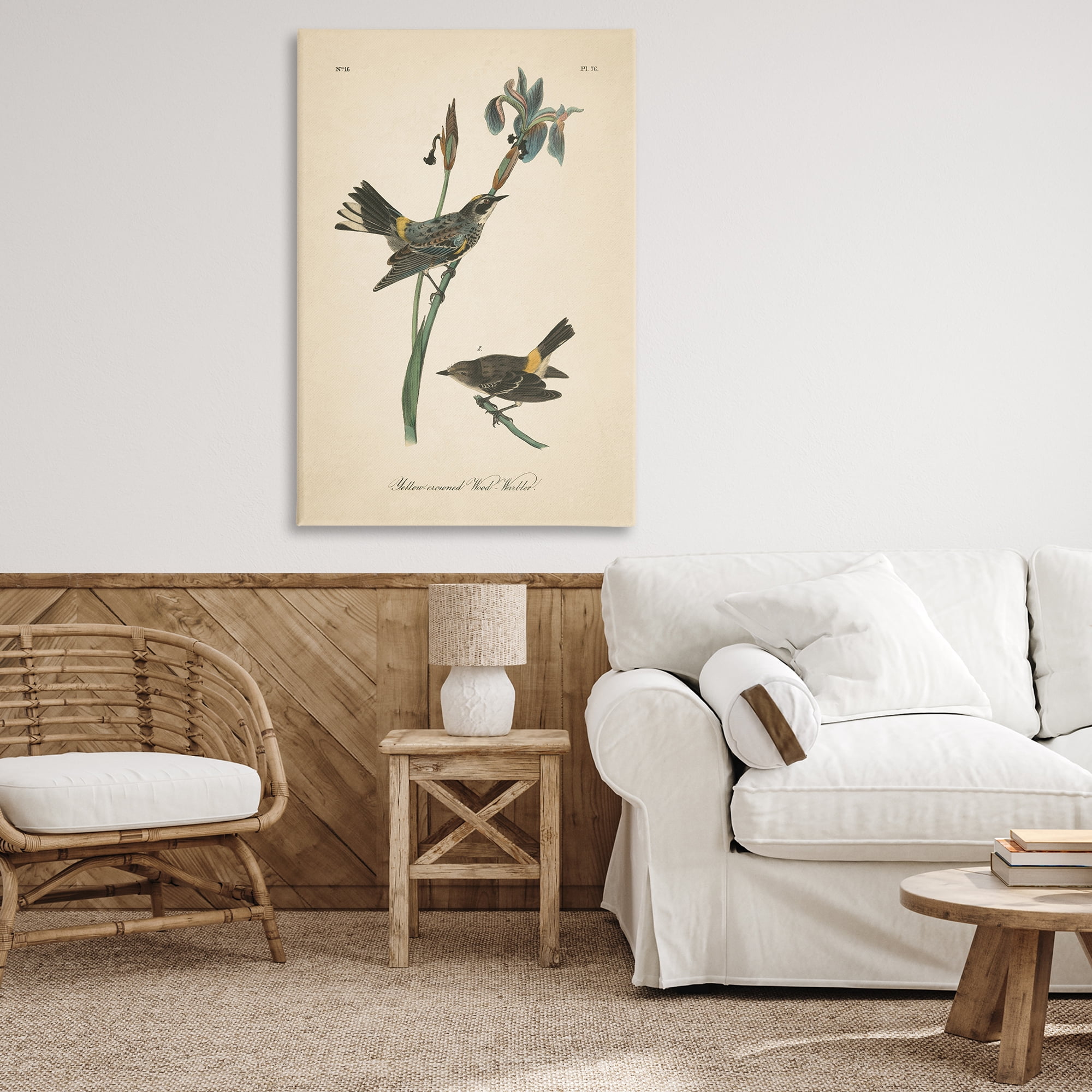 Stupell Industries Vintage Warbler Study Animals & Insects Painting Gallery Wrapped Canvas Art Print Wall Art, 30 x 45