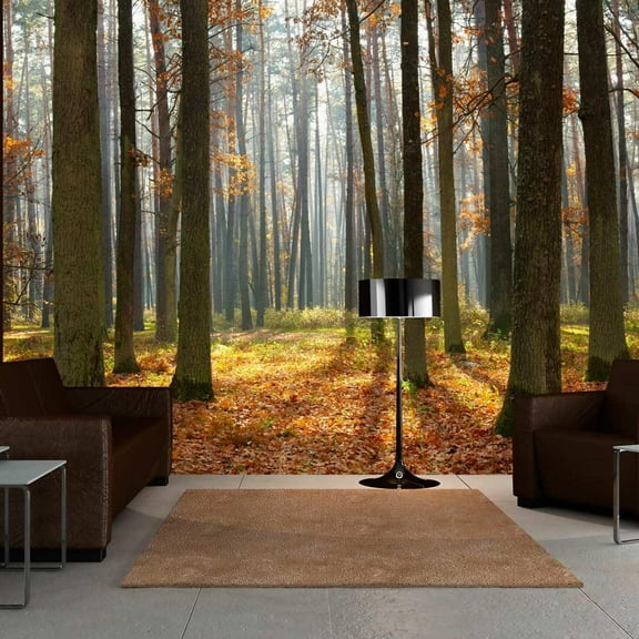 Tiptophomedecor Landscape Wallpaper Wall Mural - Autumn Trees