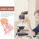 thumbnail image 3 of GOOHOCHY 2pcs Desktop Jellyfish Sea Decors Toys Decorative Jellyfish Modelos de medusas decorativas, 3 of 8