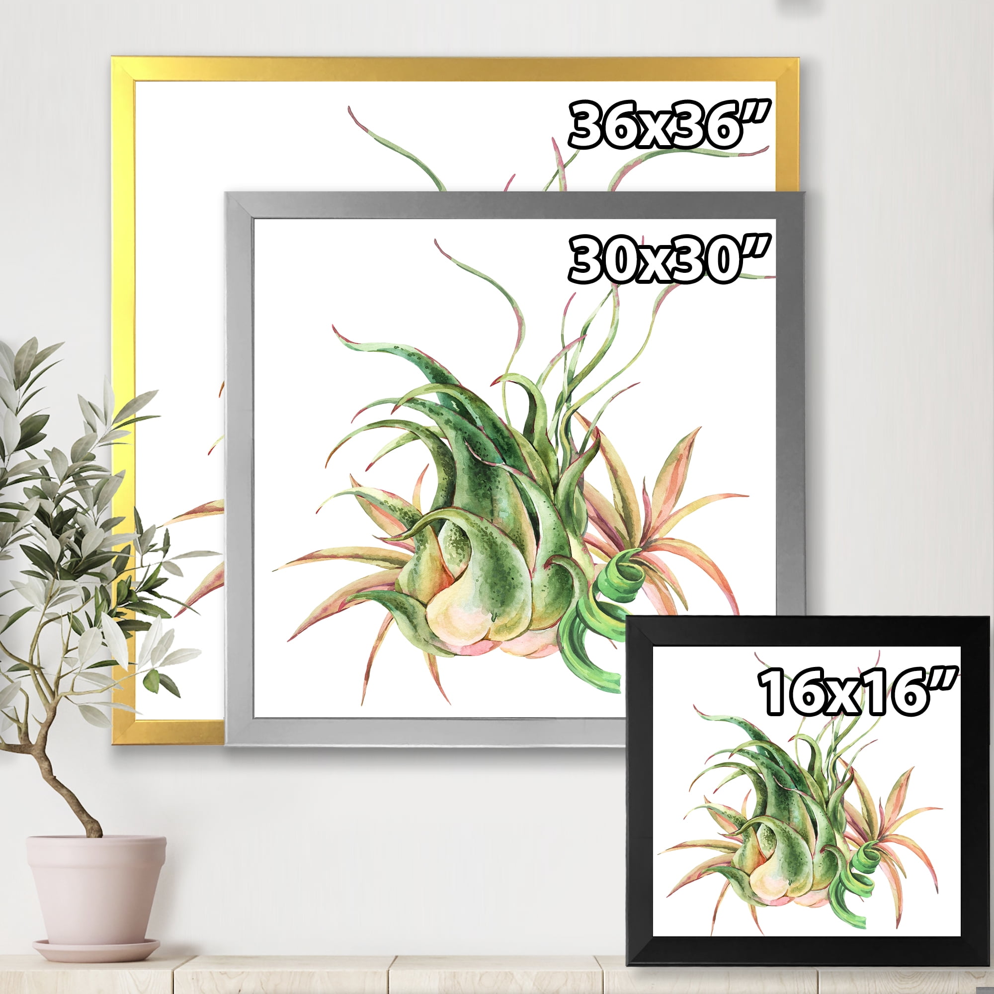 Designart 'Tropical Leaves Air Plant Succulent On White' Farmhouse Framed Art Print