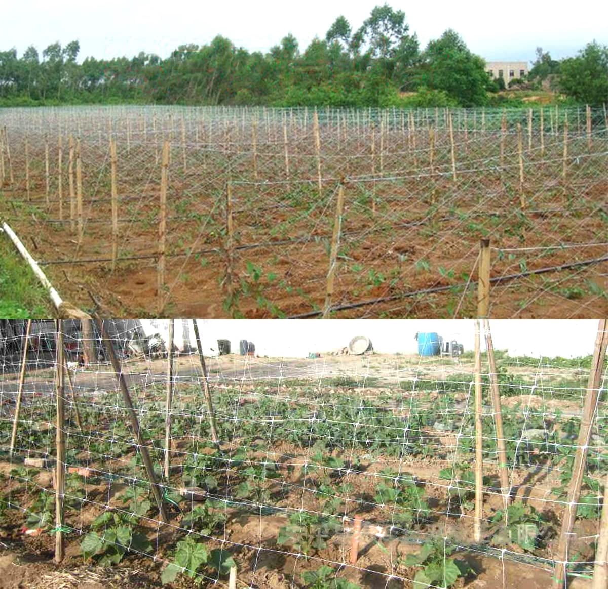 White Trellis Netting 4x100 ft Heavy Duty Garden Netting Polypropylene Plant Support Net for Climbing Vegetables Fruits Flowers