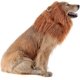 thumbnail image 3 of Melena de león para perros - Melena de león realista y divertida para perros - Melena de león complementaria para disfraces de perros - Peluca de león, 3 of 5
