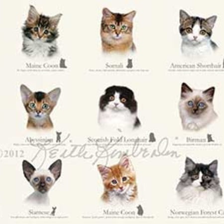 Elizabeth's Studio Cat Breeds Cat Breeds Faces 24" Panel Cream - Sold