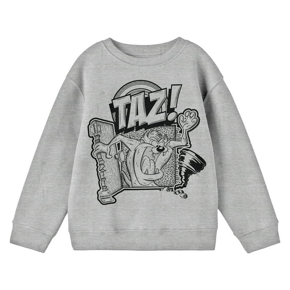 Looney Tunes Taz Character Art Crew Neck Long Sleeve Athletic Heather Boy's Sweatshirt-Medium