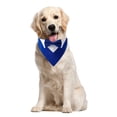 thumbnail image 3 of CSChome Pet Collar Pet Collar Soft Comfortable Fine Workmanship Adjustable Buckle Design Up Bowknot, 3 of 7