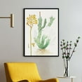 thumbnail image 1 of Tylecodon Cacalioides - L.f. Toelkenken - 1777–1786 | Robert Jacob Gordon | Premium Fine Art Print | 18th Century Dutch | Naturalism | Botanical | Plant Art | Nature Art, 1 of 7