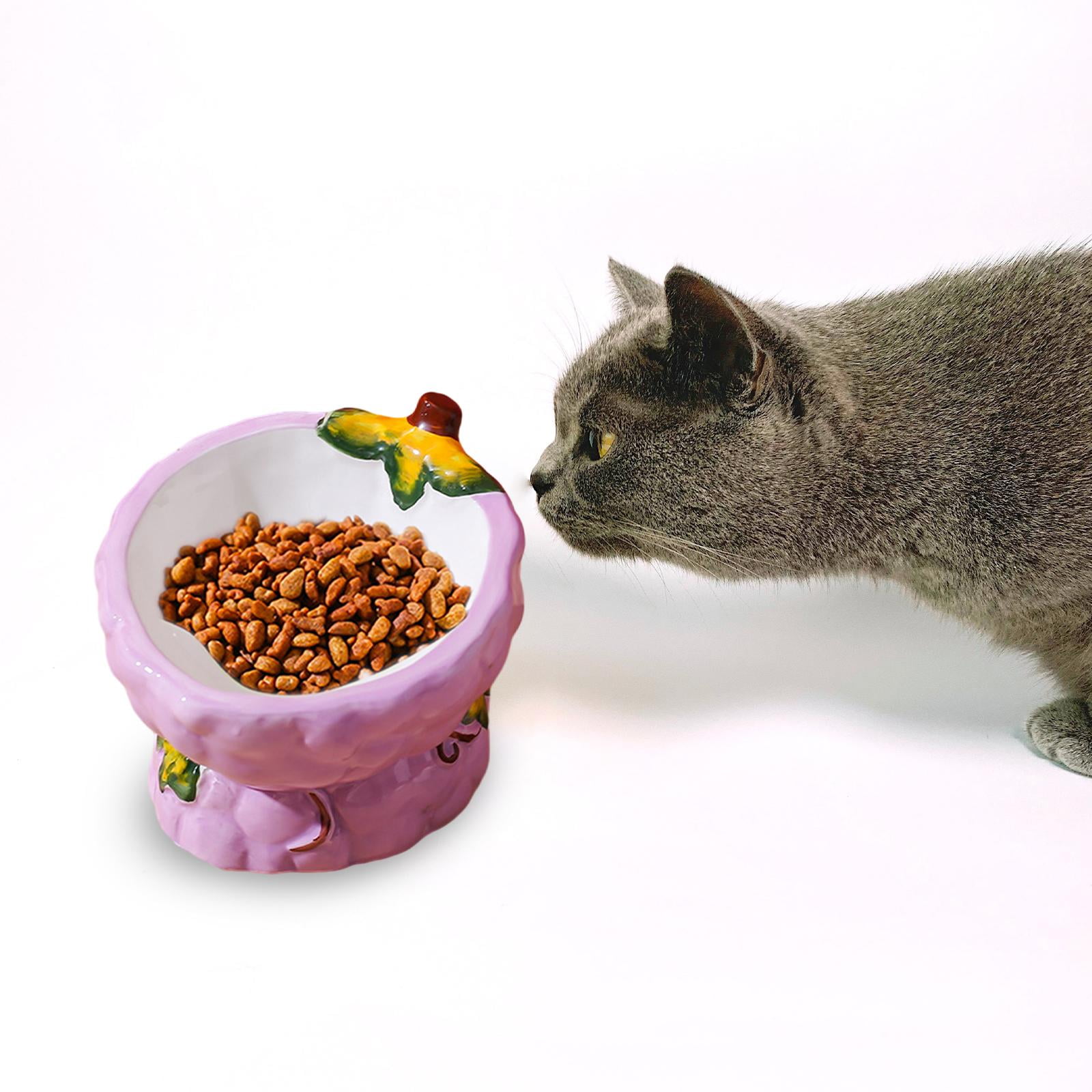 TOOYFUL Elevated Cat Bowls,Ceramic Bowls Stand for Food and Water,Dish for Cats and Puppy Indoor Non-Slip,Raised Pet Bowl Dishes,Grape Shape