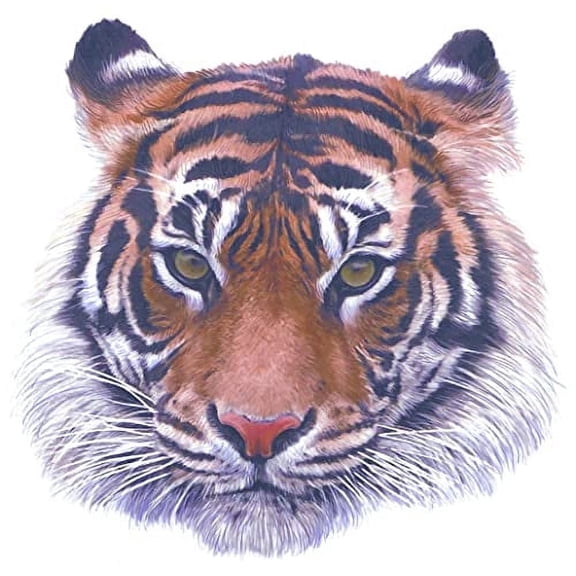 Ferocious Tiger Edible Image Icing Cake Topper for Quarter Sheet Cake, by TNCT