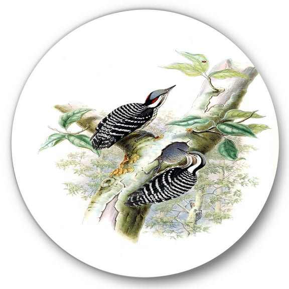 Designart 'Ancient Birds In The Wild V' Traditional Circle Metal Wall Art 36x36 - Disc of 36