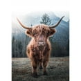 thumbnail image 3 of Braun Studio 14x18 Black Modern Framed Museum Art Print Titled - Highland Cow, 3 of 5