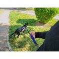 thumbnail image 2 of Laisse Flexible pour Chien avec Sac Banane, Bleu, 2 of 3