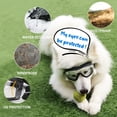 thumbnail image 3 of Gafas y Lentes de Sol para Perro NAMSAN Transparentes para Razas Medianas a Grandes, 3 of 8