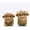 Light Brown, variant on Highland Cow Decor,2Pcs Cute Scottish Highland Cow Gifts,Standing Sitting Poses Resin Figurine for Shelf Garden Table Home Decor Calf for Highland Cow Lovers(Orange)