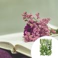thumbnail image 4 of Juego de hojas secas Wosthever Calcomanía de hoja real decorativa Tipo 1 Conjunto de hojas verdes, 4 of 6