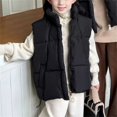 thumbnail image 3 of Jalioing Kids Winter Vest Coat Thick Warm Sleeveless Stand Collar Puffer Vest Solid Color Zipper Up Thermal Outerwear, 3 of 5