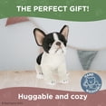 thumbnail image 4 of Peluche Lil' Oliver French Bulldog de la colección Bearington, 4 of 5