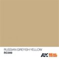thumbnail image 2 of AK Interactive AFV RC099 Russian Greyish Yellow 10ml Acrylic Hobby Paint, 2 of 2