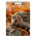 thumbnail image 1 of FMSHPON Hedgehog Red Leaves Clipboard Hardboard Wood Nursing Clip Board and Pull for Standard A4 Letter 13x9 inches, 1 of 5