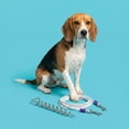 thumbnail image 2 of Vibrant Life Reflective Vinyl-Covered Cable and Spiral Stake Set for Dogs, M, 25', 2 of 9