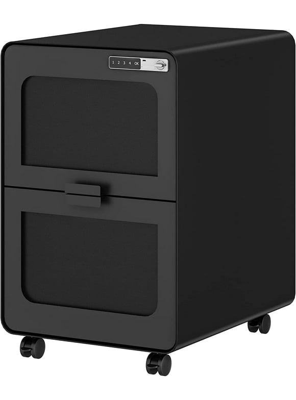 2 Drawer File in Office Furniture