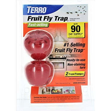 TERRO Fruit Fly Traps - 2 Pack - Walmart.com