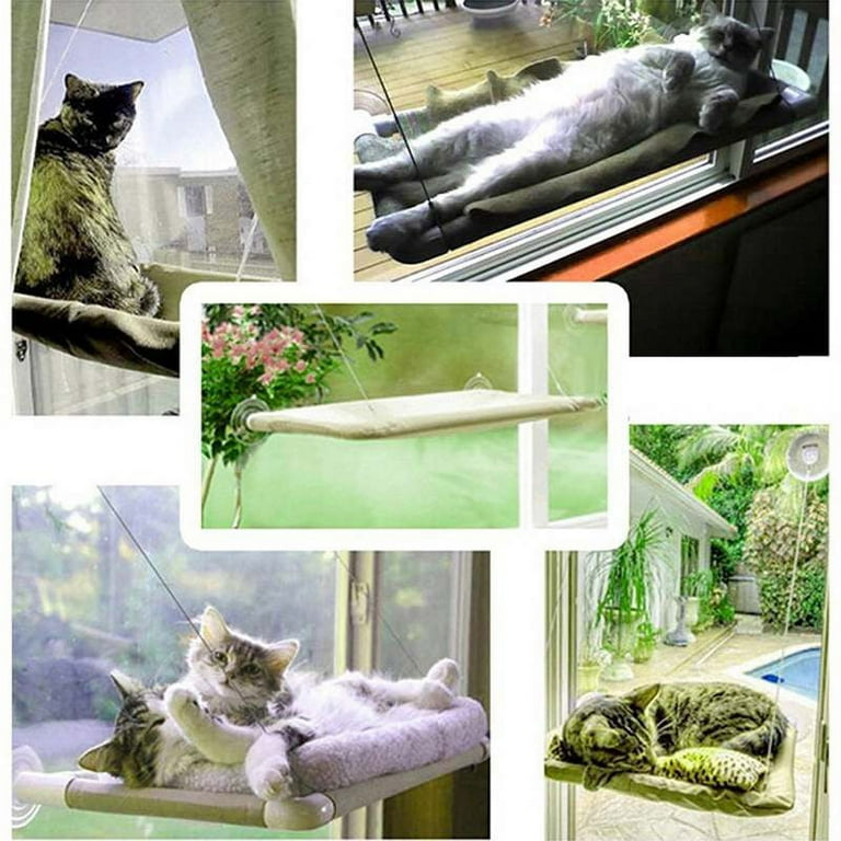 Window hammock clearance for dogs