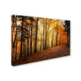 thumbnail image 3 of Trademark Fine Art "Autumn Leaves Pathway" Canvas Art by Philippe Sainte-Laudy, 3 of 4