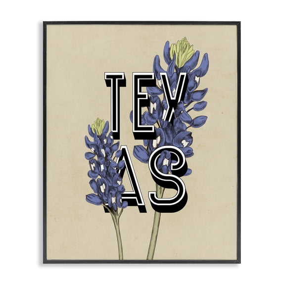 Stupell Industries Mid-Century Texas State Flower Bluebonnet Plant Sprigs Typography Black Framed Giclee Art, 11 x 14, by Lil' Rue