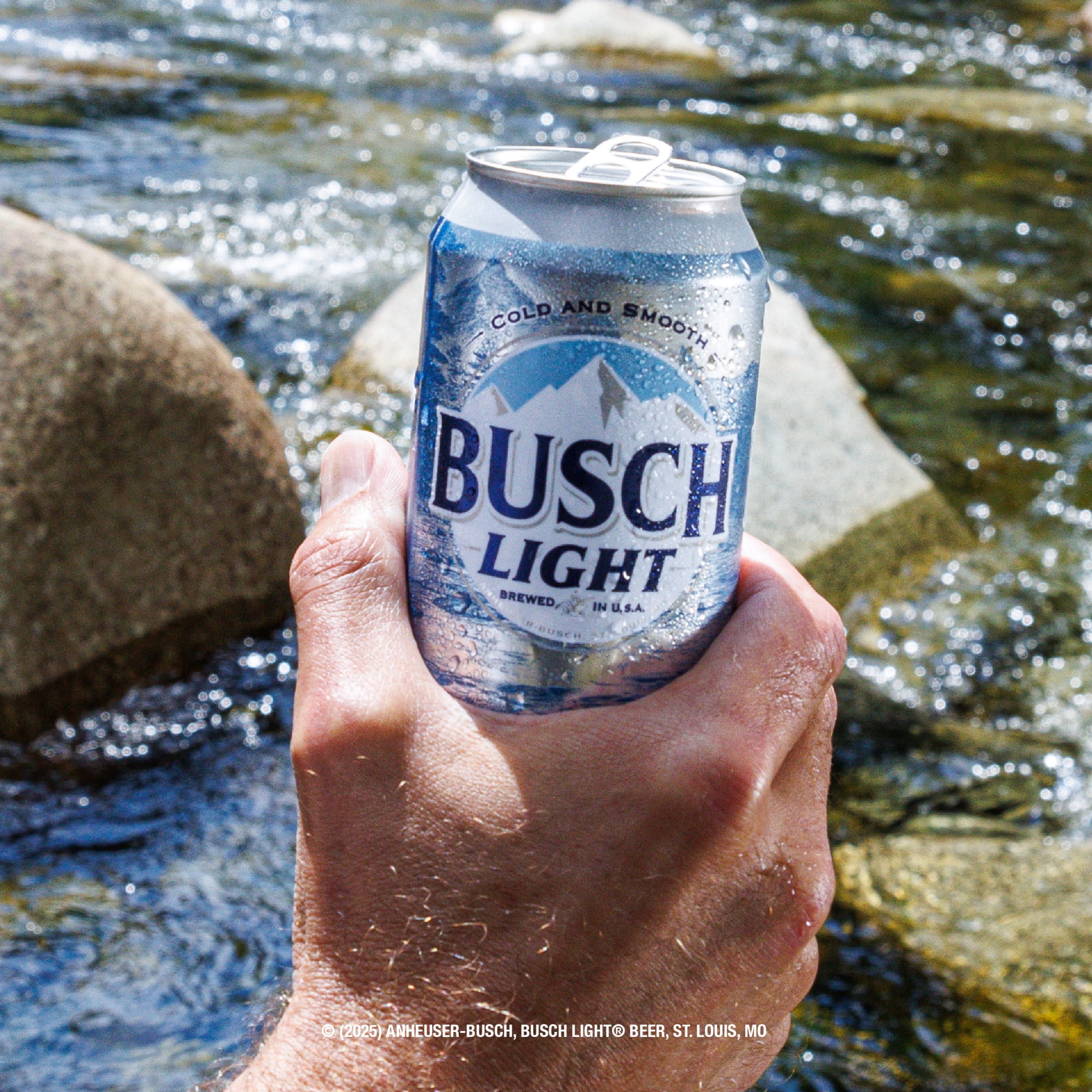 人気ビール 日本未発売 アメリカ BUSCH LIGHT ブッシュライト 30缶 Busch Light American Light Lager Beer 30 Pack 12 fl oz