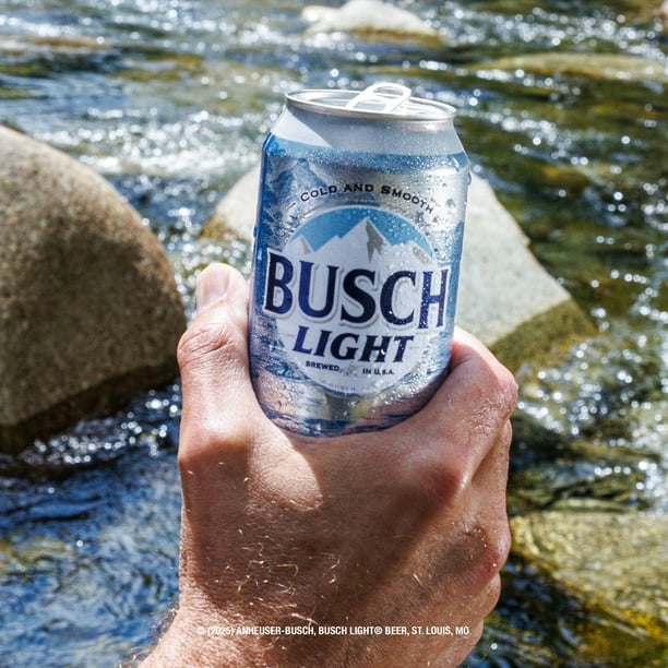 Busch Light American Light Lager Beer 30 Pack 12 fl oz Aluminum