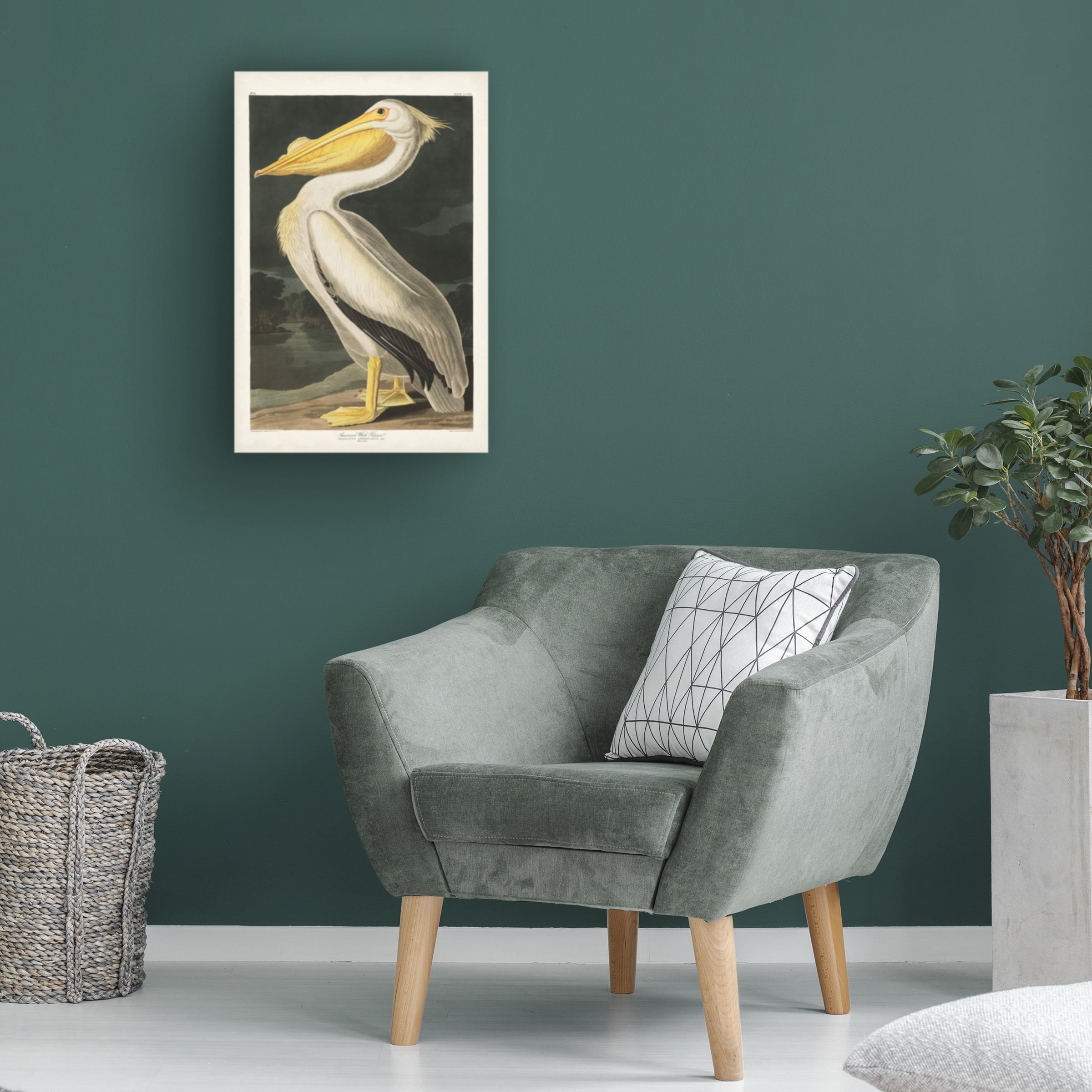 John James Audubon 'American White Pelican' Canvas Art