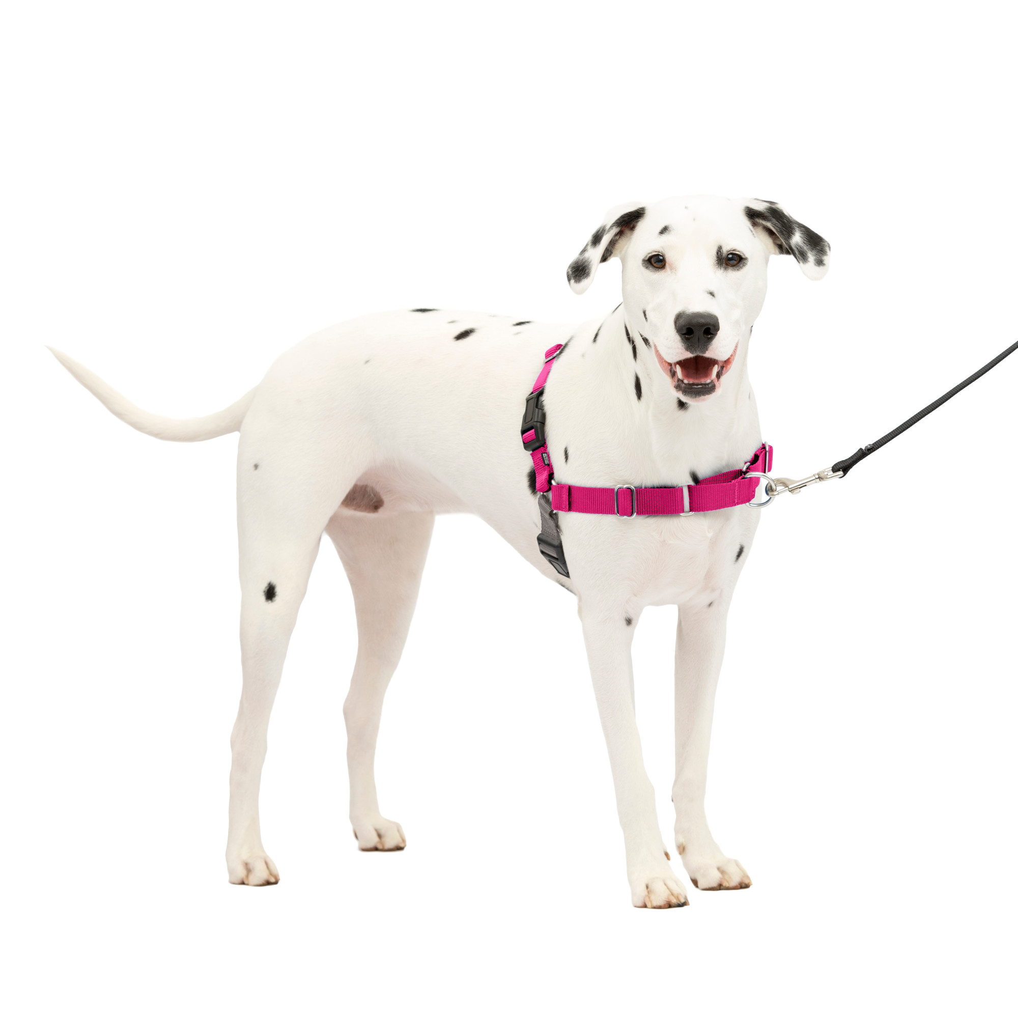 PetSafe Easy Walk No-Pull Harness, Medium/Large