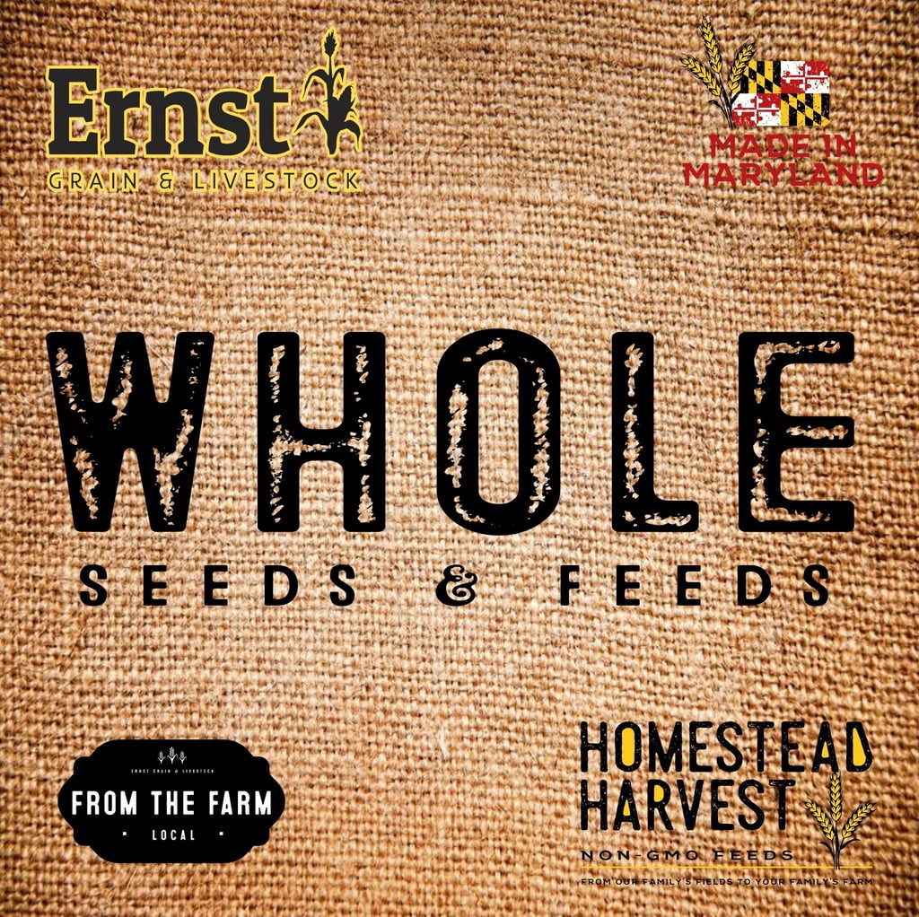 Ernst Grain & Livestock Wild Bird Food Select, Non-GMO – Made with Black Oil Sunflowers, Nyjer Seed, and Other Non-GMO Grains
