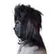 thumbnail image 3 of Máscara de gorila realista, animal de resina, pelo negro, cosplay de Halloween, 3 of 3