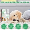 thumbnail image 2 of Dog Hair Loss Treatments For Dogs Cats Use On Body Promotes Hair Growth, 2 of 5