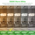 thumbnail image 3 of BUBO G9 LED Bulbs 10 Pack, 3W Equivalent to 40W, 3000K Warm White, 430 Lumens, 120V Non-Dimmable, 360° Beam Angle, Flicker-Free T4 Halogen Replacement for Chandelier Lighting, 3 of 8