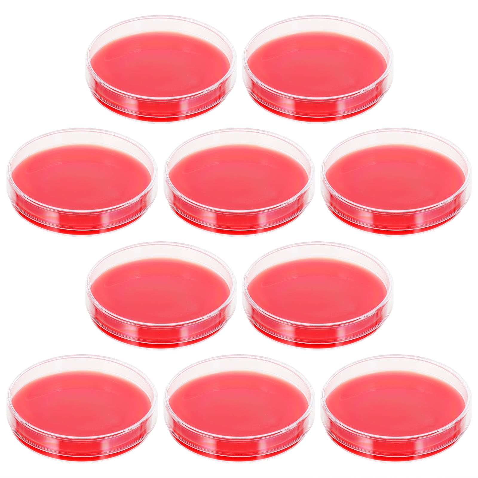 Homemaxs Agar Petri Plates Dishes Medium Plate Culture Sterile