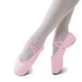 thumbnail image 1 of Dance Shoes Children's Soft Sole Practice Shoes Professional Ballet Shoes, 1 of 4