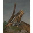 thumbnail image 2 of George Augustus Wallis 12x14 Gold Ornate Wood Frame and Double Matted Museum Art Print Titled - Study of Rocks and Branches, 2 of 4
